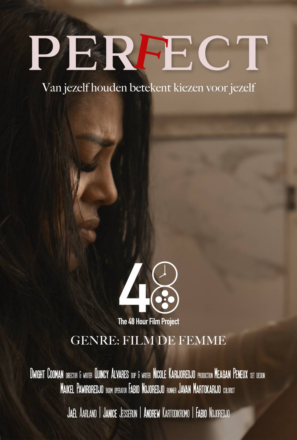 Filmposter for Perfect